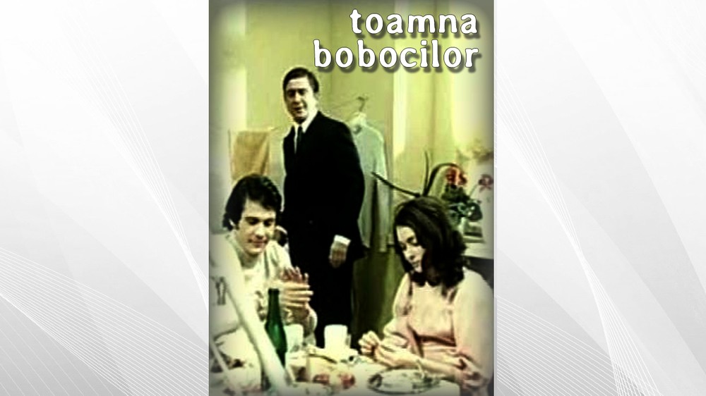 TOAMNA BOBOCILOR