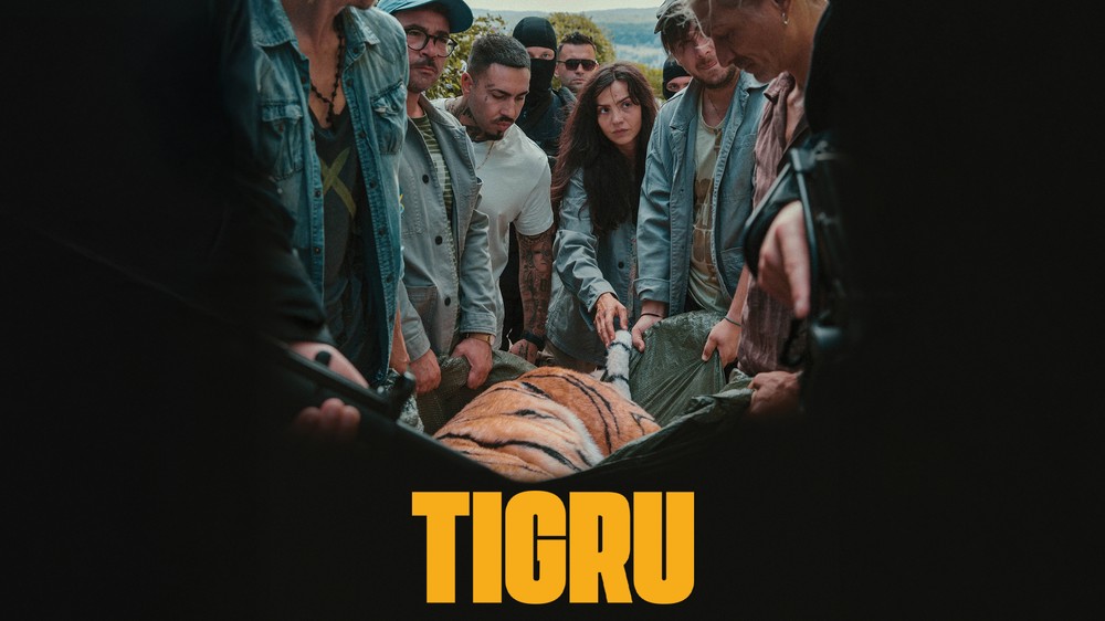 Tigru