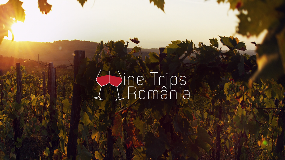 Wine Trips România