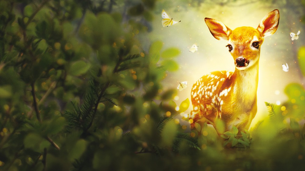 Bambi