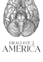 Dragoste 2. America