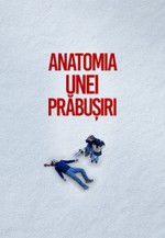 Anatomia unei prăbușiri
