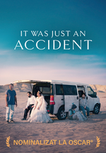 Un simplu accident