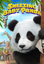 Cum strănută un Panda