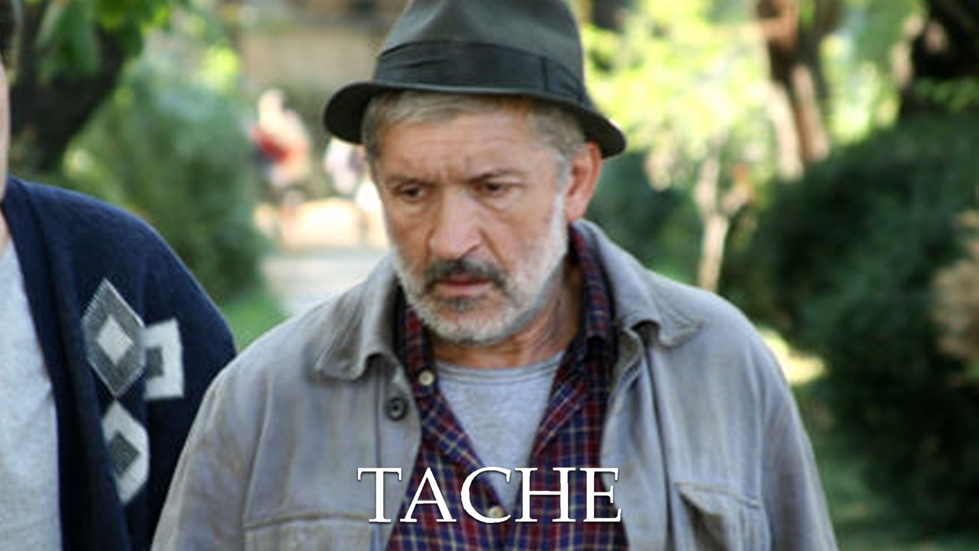 Tache