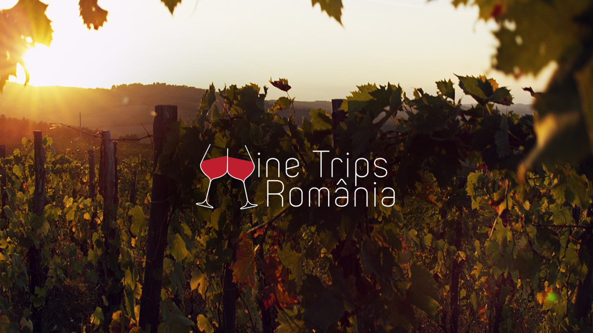 Wine Trips România