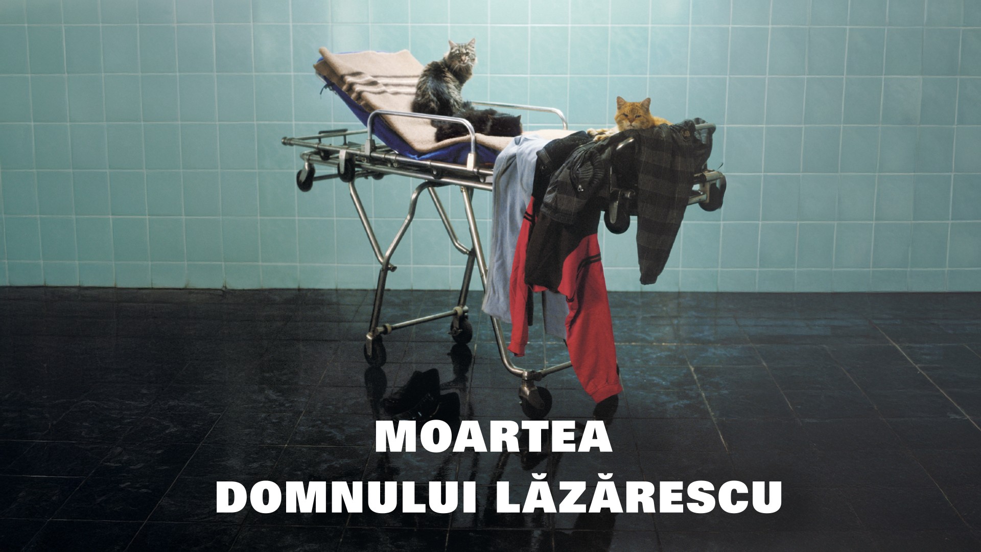 Moartea domnului Lăzărescu
