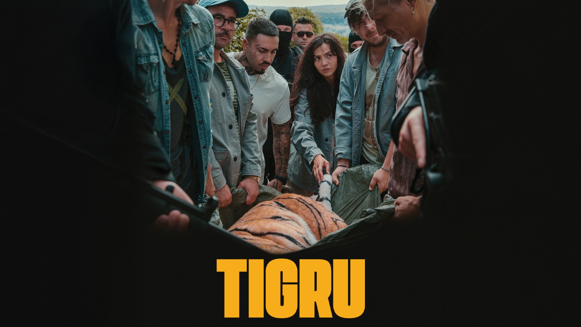 Tigru