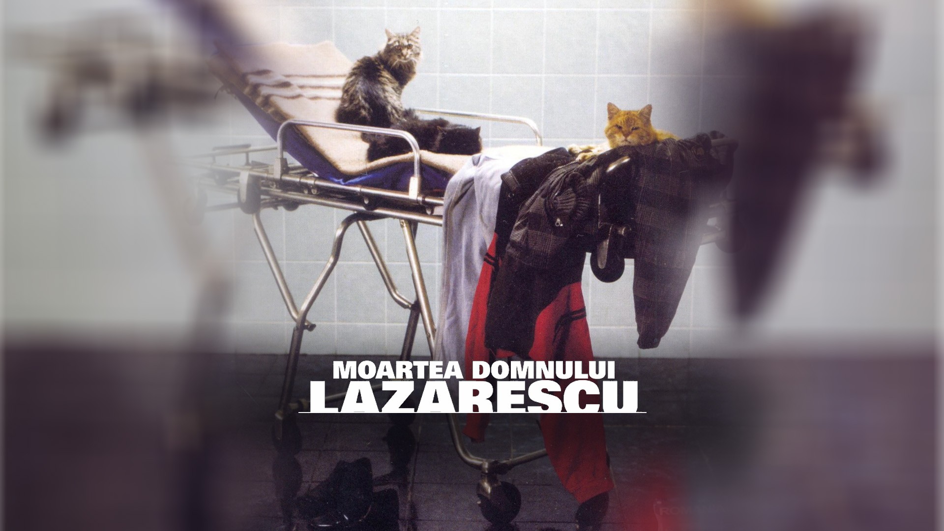 Moartea domnului Lăzărescu