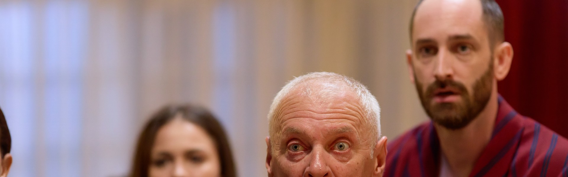 sandu vlahu