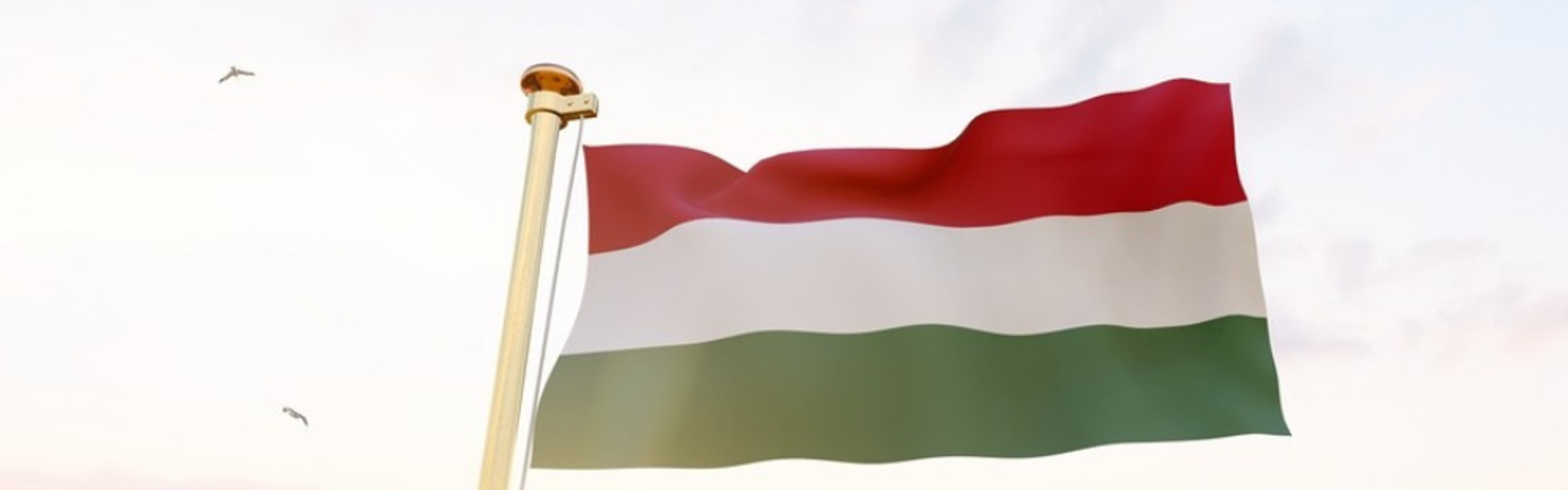 ziua limbii maghiare