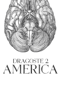 Dragoste 2. America