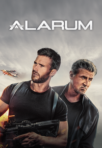 Codul Alarum