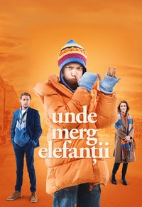 Unde merg elefanţii