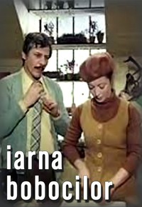 Iarna Bobocilor