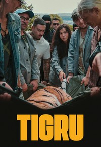 Tigru