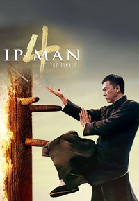 IP Man 4 - Ultima luptă