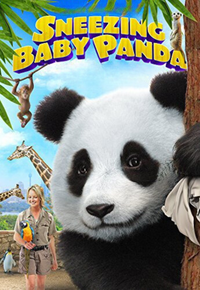 Cum strănută un Panda
