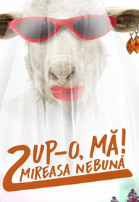 Pup-o, mă! 2