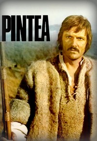 Pintea