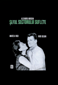 Seful sectorului suflete