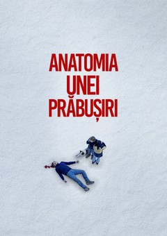 Anatomia unei prăbușiri