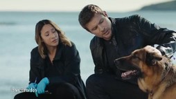 Episodul 4