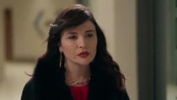 Episodul 81