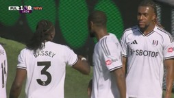 Rezumat Fulham - Newcastle United