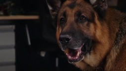 Episodul 14