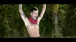 Zannidache - Survivor All Stars
