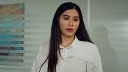 Episodul 202