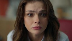 Episodul 22
