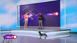 Ediția 19 - 2024