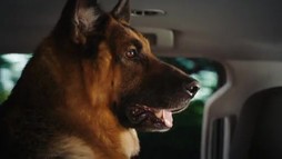 Episodul 6