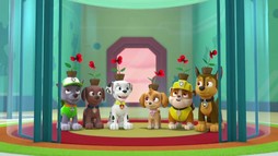 Episodul 11