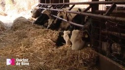 Ediția 1