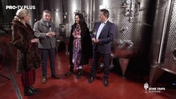Wine Trips România S2E4 | Cosmina Păsărin la Crama Hermeziu, în căutarea vinurilor seci și poveștilor spumoase