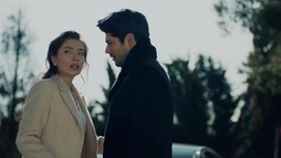 Episodul 206