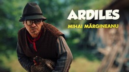 Sezonul 16, Episodul 13