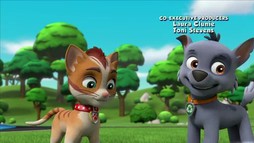 Episodul 23