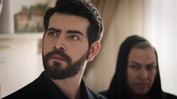 Episodul 41