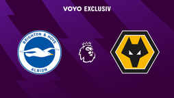 Brighton - Wolves