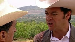 Episodul 15