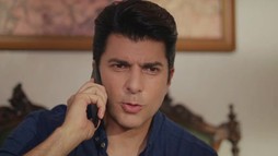 Episodul 243