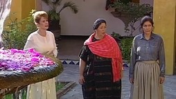 Episodul 33