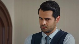 Episodul 229