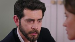 Episodul 246