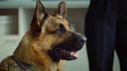Episodul 7