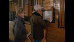 Episodul 26